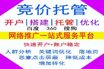 SEM主管实战案例：广告投放策略优化